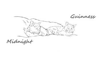 Free download My Cats video and edit with RedcoolMedia movie maker MovieStudio video editor online and AudioStudio audio editor onlin