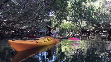 Free download MY FILM CREW video and edit with RedcoolMedia movie maker MovieStudio video editor online and AudioStudio audio editor onlin