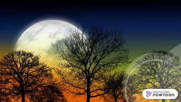 Free download My Life With the Chimpanzees trailer! video and edit with RedcoolMedia movie maker MovieStudio video editor online and AudioStudio audio editor onlin