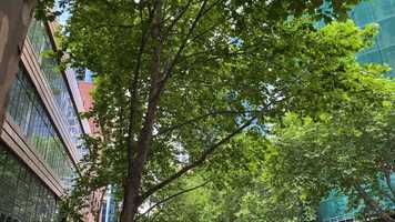 Free download My Melbourne_The City and Us_Grace and Melody video and edit with RedcoolMedia movie maker MovieStudio video editor online and AudioStudio audio editor onlin