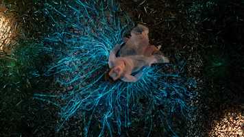 Free download My Michelle - Young and Beautiful (music video) video and edit with RedcoolMedia movie maker MovieStudio video editor online and AudioStudio audio editor onlin