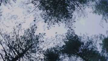 Free download my moon video and edit with RedcoolMedia movie maker MovieStudio video editor online and AudioStudio audio editor onlin