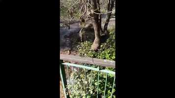 Free download My Movie_0 (1) video and edit with RedcoolMedia movie maker MovieStudio video editor online and AudioStudio audio editor onlin