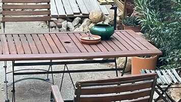 Free download My Movie 13.mp4 video and edit with RedcoolMedia movie maker MovieStudio video editor online and AudioStudio audio editor onlin