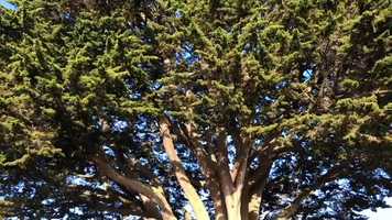 Free download My Movie 47 video and edit with RedcoolMedia movie maker MovieStudio video editor online and AudioStudio audio editor onlin