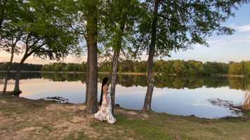 Free download My Movie 48 video and edit with RedcoolMedia movie maker MovieStudio video editor online and AudioStudio audio editor onlin