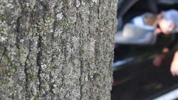 Free download My Own Worst Enemy video and edit with RedcoolMedia movie maker MovieStudio video editor online and AudioStudio audio editor onlin