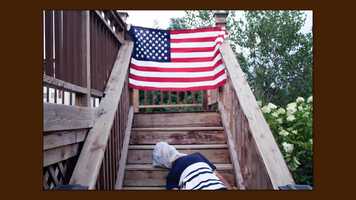 Free download My Race is Not Yours video and edit with RedcoolMedia movie maker MovieStudio video editor online and AudioStudio audio editor onlin