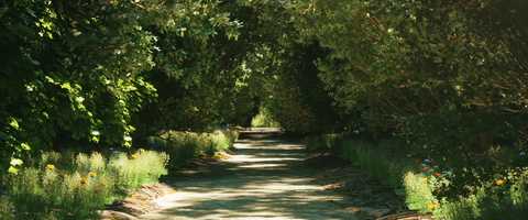 Free download Mystical Road video and edit with RedcoolMedia movie maker MovieStudio video editor online and AudioStudio audio editor onlin