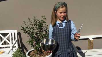 Free download My Sustainable Meal video and edit with RedcoolMedia movie maker MovieStudio video editor online and AudioStudio audio editor onlin