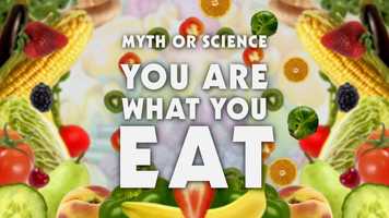 Free download Myth or Science 3_ You Are What You Eat_Trailer video and edit with RedcoolMedia movie maker MovieStudio video editor online and AudioStudio audio editor onlin