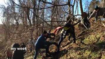 Free download My Week #562 (January 20 - 26) video and edit with RedcoolMedia movie maker MovieStudio video editor online and AudioStudio audio editor onlin