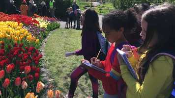 Free download Nanobot Sumo! Teaching science, engineering  robotics with elementary students. video and edit with RedcoolMedia movie maker MovieStudio video editor online and AudioStudio audio editor onlin