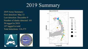 Free download Napis Lecture - Legare sharks April 2021 video and edit with RedcoolMedia movie maker MovieStudio video editor online and AudioStudio audio editor onlin