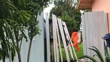 Free download Naranja video and edit with RedcoolMedia movie maker MovieStudio video editor online and AudioStudio audio editor onlin