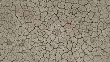 Free download Nashville-Davidson, Tennessee www.bEpic.com B-Smart Elev8 Life-Changing Product | Coming to: NJ NH NV NE MT MO MS | video and edit with RedcoolMedia movie maker MovieStudio video editor online and AudioStudio audio editor onlin