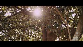 Free download Nashville Wedding Video - Riverwood Mansion - Caitlin  Thomas - Trailer video and edit with RedcoolMedia movie maker MovieStudio video editor online and AudioStudio audio editor onlin