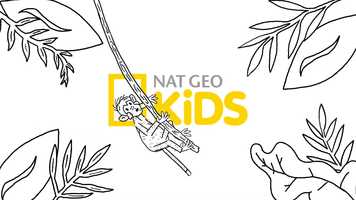 Free download Natgeo Adventure Logo Animation video and edit with RedcoolMedia movie maker MovieStudio video editor online and AudioStudio audio editor onlin