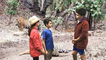 Free download National Animals video and edit with RedcoolMedia movie maker MovieStudio video editor online and AudioStudio audio editor onlin