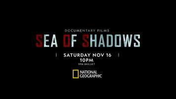 Free download National Geographic Sea of Shadows: trailer video and edit with RedcoolMedia movie maker MovieStudio video editor online and AudioStudio audio editor onlin