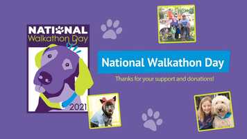 Free download National Walkathon Day Recap video and edit with RedcoolMedia movie maker MovieStudio video editor online and AudioStudio audio editor onlin