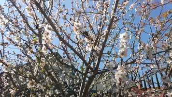 Free download Naturally- An experimental film video and edit with RedcoolMedia movie maker MovieStudio video editor online and AudioStudio audio editor onlin