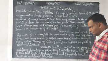 Free download Natural vegetation video and edit with RedcoolMedia movie maker MovieStudio video editor online and AudioStudio audio editor onlin