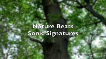 Free download Nature Beats Sonic Signatures 2021 video and edit with RedcoolMedia movie maker MovieStudio video editor online and AudioStudio audio editor onlin