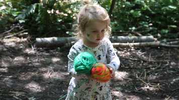 Free download Nature Education Integrated Approach video and edit with RedcoolMedia movie maker MovieStudio video editor online and AudioStudio audio editor onlin