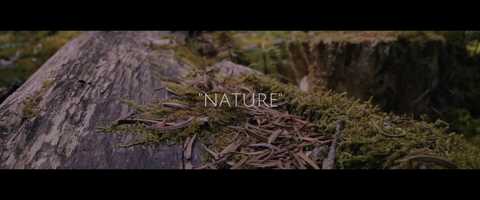 Free download Nature Film With LAOWA 24mm + Sony 7III video and edit with RedcoolMedia movie maker MovieStudio video editor online and AudioStudio audio editor onlin