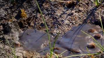 Free download Nature Is Speaking  Penlope Cruz is Water  Conservation International (CI) video and edit with RedcoolMedia movie maker MovieStudio video editor online and AudioStudio audio editor onlin