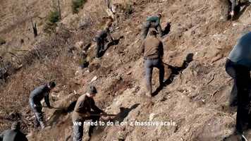 Free download Nature Now - Best Documentary Short - LEFF 2019 video and edit with RedcoolMedia movie maker MovieStudio video editor online and AudioStudio audio editor onlin