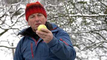 Free download NATURES BUILDING BLOCKS *BBC STORYWORKS SERIES TRAILER* video and edit with RedcoolMedia movie maker MovieStudio video editor online and AudioStudio audio editor onlin