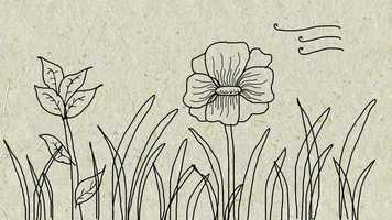 Free download Nature - Start of Animation video and edit with RedcoolMedia movie maker MovieStudio video editor online and AudioStudio audio editor onlin