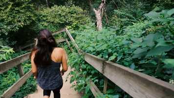 Free download Nature Walk video and edit with RedcoolMedia movie maker MovieStudio video editor online and AudioStudio audio editor onlin