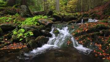 Free download Naturfilmfestival 2021_trailer_H264_20Mbps.mp4 video and edit with RedcoolMedia movie maker MovieStudio video editor online and AudioStudio audio editor onlin