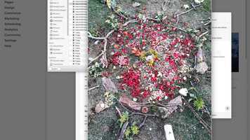 Free download naturheilerfahrung  Bilderreihe erstellen video and edit with RedcoolMedia movie maker MovieStudio video editor online and AudioStudio audio editor onlin