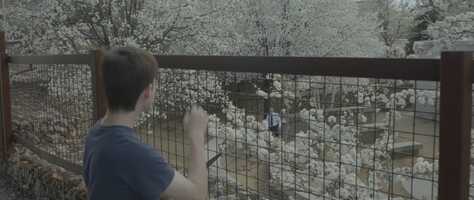 Free download NC Jr. (an Action Short Film) video and edit with RedcoolMedia movie maker MovieStudio video editor online and AudioStudio audio editor onlin