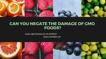 Free download Negate the Damage of GMO Foods with Scalar Light Cleanse! video and edit with RedcoolMedia movie maker MovieStudio video editor online and AudioStudio audio editor onlin