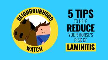 Free download Neighbourhood Watch: 5 Tips to Help Prevent Laminitis video and edit with RedcoolMedia movie maker MovieStudio video editor online and AudioStudio audio editor onlin