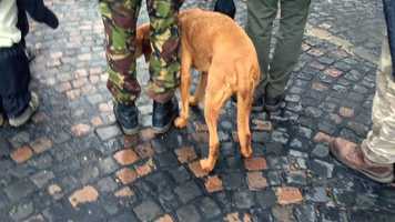 Free download Neonazis Budapest kitrs video and edit with RedcoolMedia movie maker MovieStudio video editor online and AudioStudio audio editor onlin