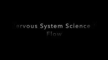 Free download Nervous System Science.mp4 video and edit with RedcoolMedia movie maker MovieStudio video editor online and AudioStudio audio editor onlin