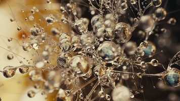 Free download Nespresso_science_BRAIN video and edit with RedcoolMedia movie maker MovieStudio video editor online and AudioStudio audio editor onlin