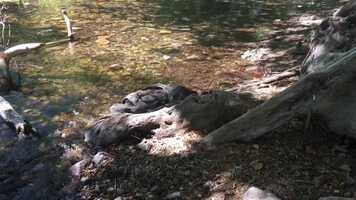 Free download New Harkins Theatres Feature Presentation Animation video and edit with RedcoolMedia movie maker MovieStudio video editor online and AudioStudio audio editor onlin