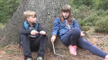 Free download New Leaf video and edit with RedcoolMedia movie maker MovieStudio video editor online and AudioStudio audio editor onlin