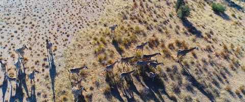 Free download New Mexico Cine Drone video and edit with RedcoolMedia movie maker MovieStudio video editor online and AudioStudio audio editor onlin
