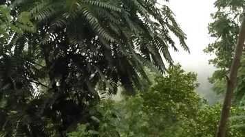 Free download New Movie 5 Apr 19, 2020 54123 PM video and edit with RedcoolMedia movie maker MovieStudio video editor online and AudioStudio audio editor onlin