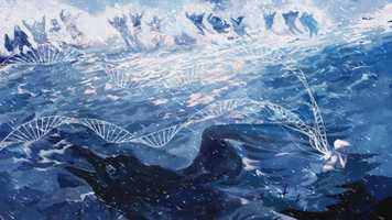 Free download New People Trailer, DK video and edit with RedcoolMedia movie maker MovieStudio video editor online and AudioStudio audio editor onlin