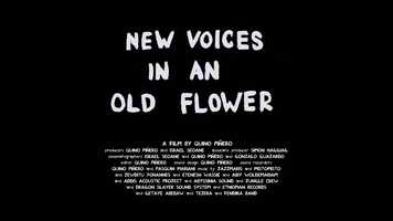Free download New voices in an old flower trailer 1 x 90 video and edit with RedcoolMedia movie maker MovieStudio video editor online and AudioStudio audio editor onlin