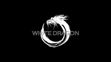 Free download NEW WAVE 2020 - a Write Her Direct Her film video and edit with RedcoolMedia movie maker MovieStudio video editor online and AudioStudio audio editor onlin